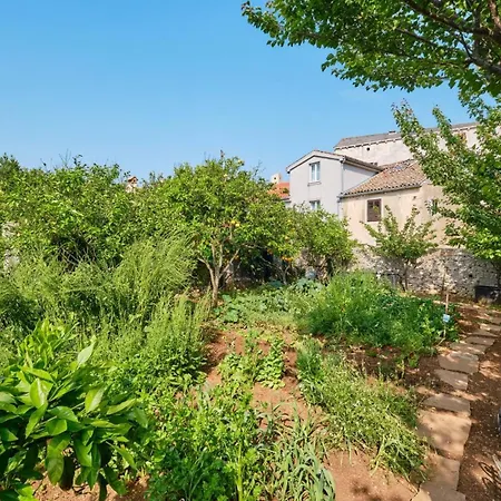 With A Parking Space Veli Losinj, Losinj - 21045 Gasthof 3*