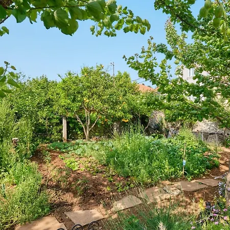 With A Parking Space Veli Losinj, Losinj - 21045 3*